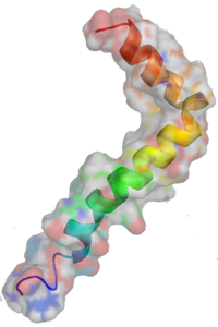 Representación de la proteína ß-amiloide